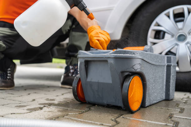 Best Utility Line Clearance  in Pine Valley, CA